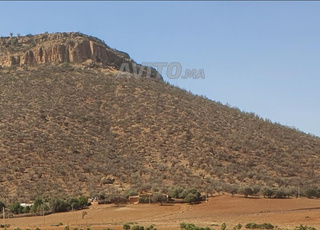 Terrain Titré constructible dans secteur attrayant