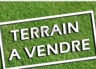 Terrain 453M² – Lotissement Mesmoudi - TARGA 