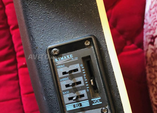 Guitar électroacoustic Action 