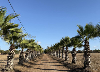 14500 mètre titré sur plage et route principale