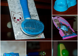 بيع لوازم القطط بتمن جيد