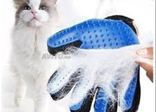 Gants caresses pour animeaux