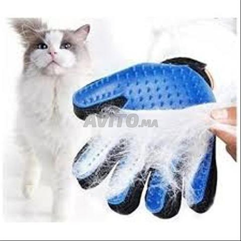 Gants caresses pour animeaux