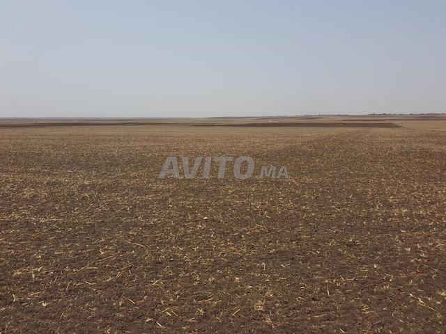 42 خدام ونصف تيرس محفظة للبيع