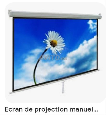 écran de projection manuel 