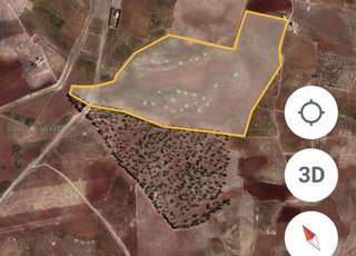 جماعة الصادلة