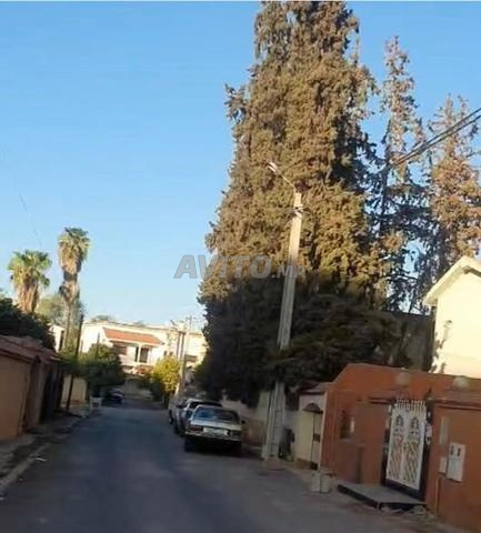 Villa sur terrain autorisé R plus 5 - Lot Al Fath  - 2