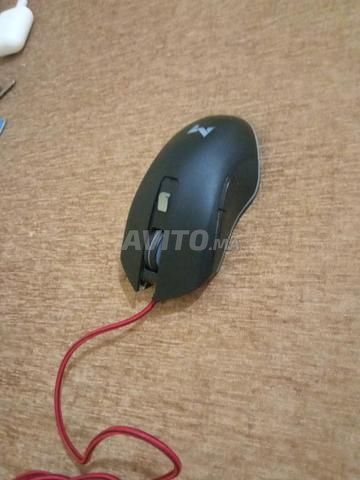 sourie gamer Mifoy  ba9a n9ia bzaf - 2