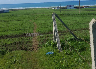 ارض للبيع محفظة مطلال على البحر