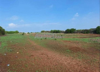 Terrain titré R plus 2