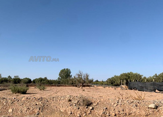 Terrain de 1800 m² à vendre 