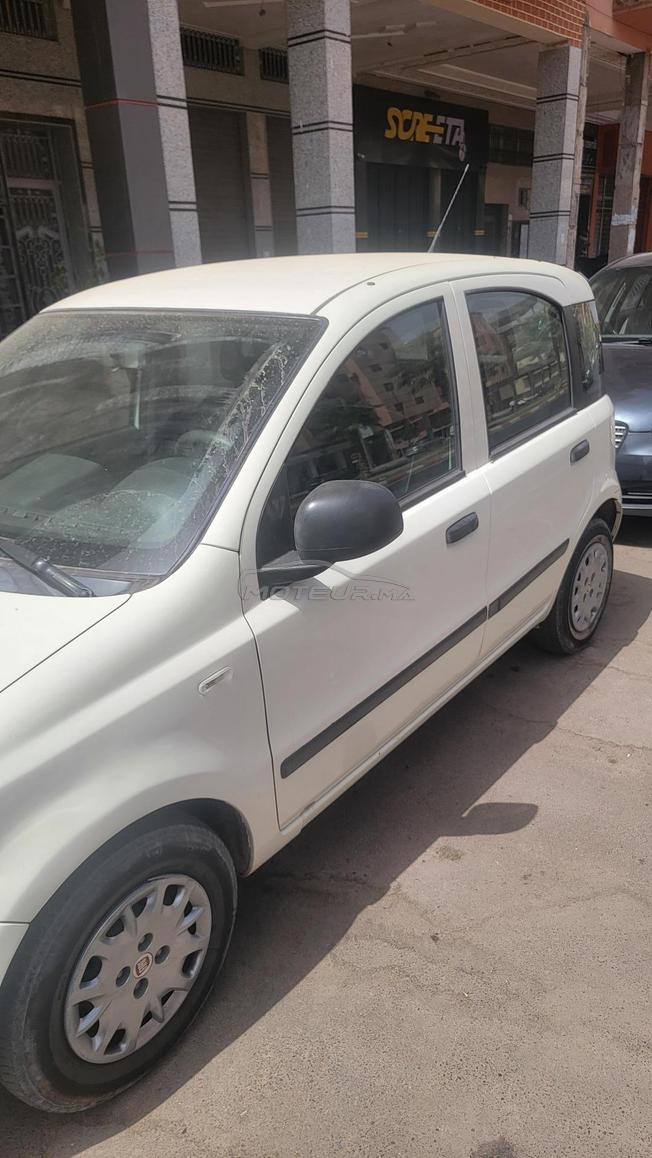 fiat panda