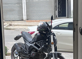 cimatti monster 2022