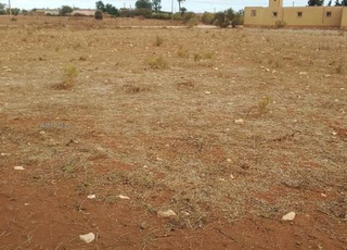 terrain à vendre titré notaire 