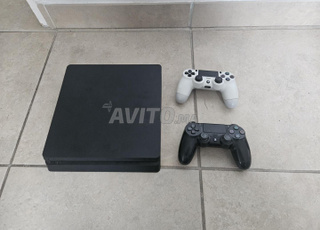 الفردوس الشطر 16 رقم