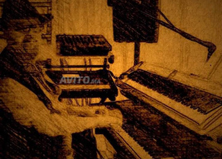 Chanteur pianiste de la variété internationale 