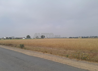 terrain  de 4 ha titre foncier à vendre à birjdid