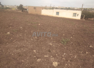 الأرض الملكية للبيع فيها دار 