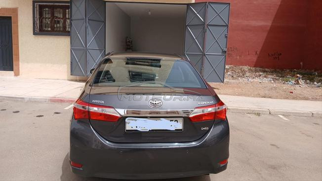 Toyota corola