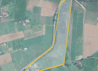 Ferme de 2 hectares près de Tiflet