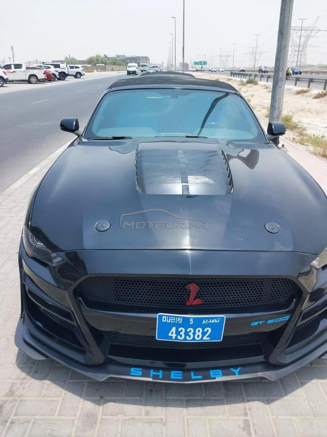 Mustang shelby 