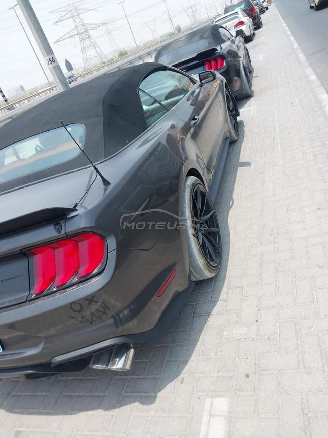 Mustang shelby 