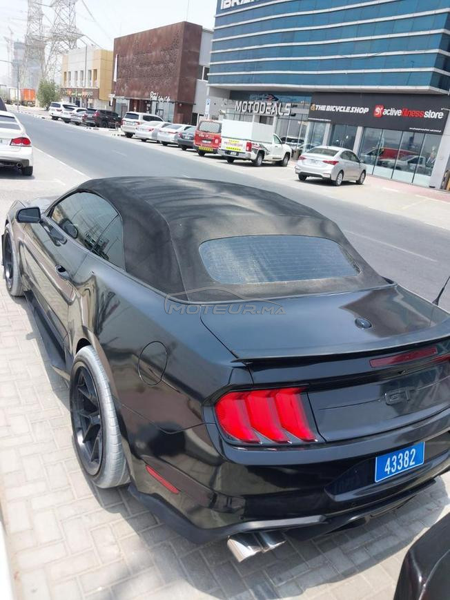 Mustang shelby 