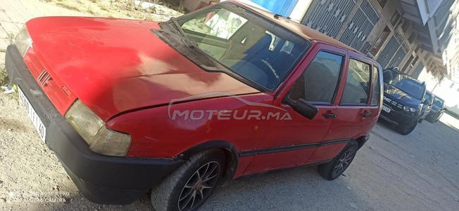 طنجة لعوامة