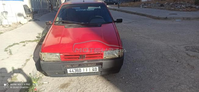 طنجة لعوامة