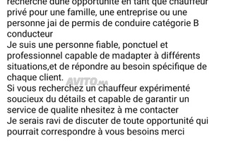   chauffeur familiale  permet b 
