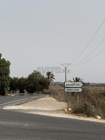 35000 metre titré sur la route goudronnée   - 2