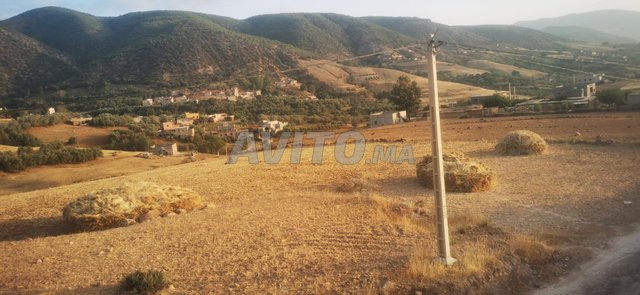 ارض للبيع في اوريكة /terrain à vendre 