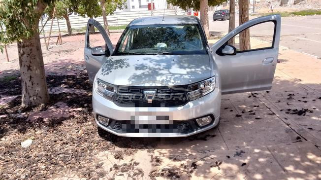 dacia Logan 2019