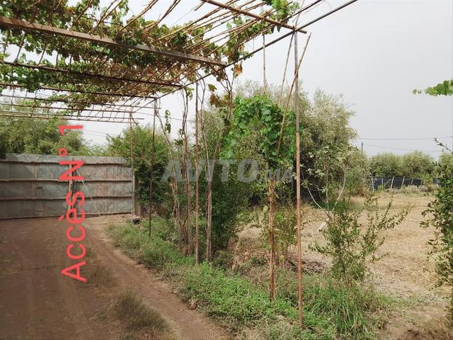 Terrain de 3000 m carré km 21 Rte Abdellah Riyyat 