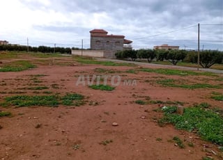 Terrain à vendre 