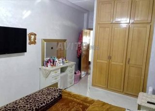 appartement meublé pour société ou bien etudiante 