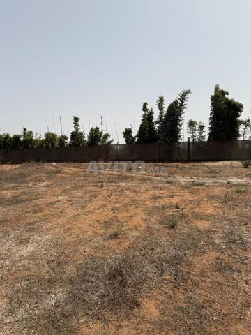 une ferme de 2 hectares titré a vendre - 2