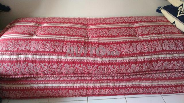 مضارب وطلامط