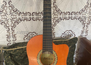 guitar elctro classique