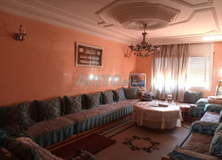 Occasion à ne pas rater