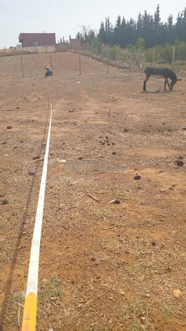 بلاد على طريق بنسبة لوراق ملكية تمن مناسب - 2