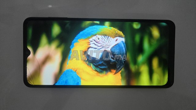 Samsung Galaxy A12 (64 Go / 4 Go RAM)