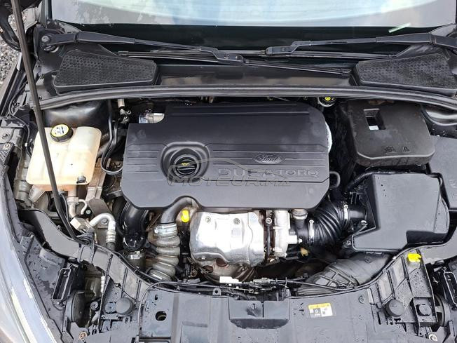 ford focus sport