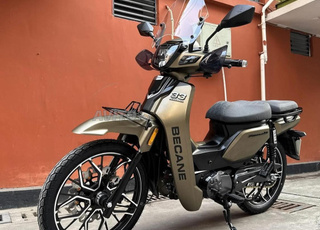 Becane Rebeiro 33 2025