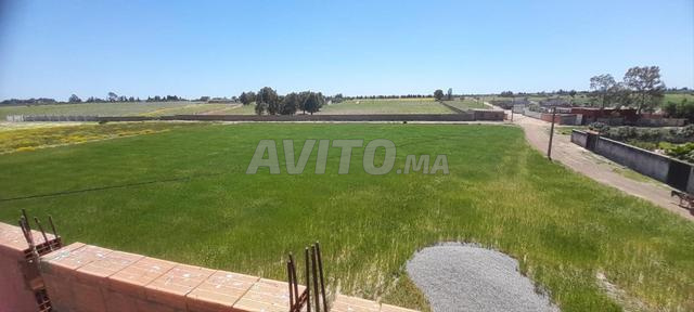  متر11796 للبيع في جمعة فضالات إقليم بنسليمان    