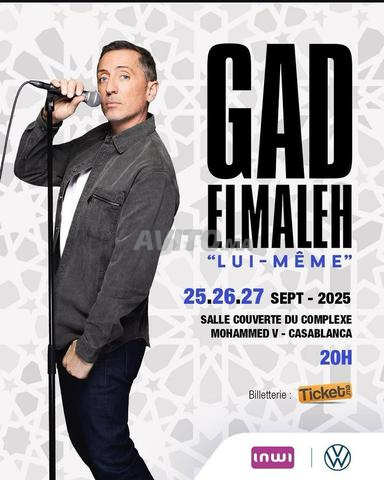 2 tickets spectacle gad Elmaleh 25 août  