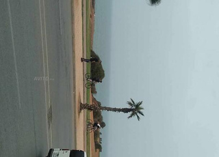 طريق الساحلية هي شماعو