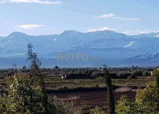 A saisir, Terrain en vente à Route de Fes