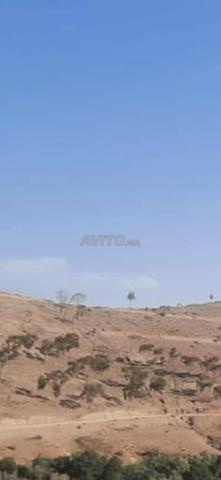 Terrain situé au barrage de Lalla Takerkoust 