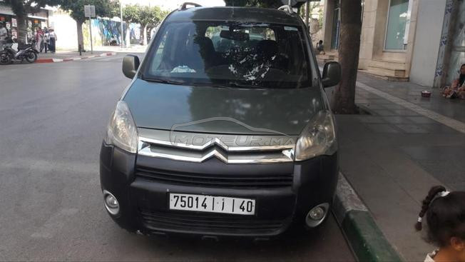 berlingo